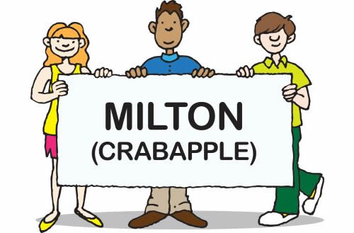 Milton Drivers Ed